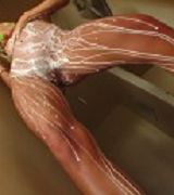 Saddle dildos Rich vibrators Dislike vibrators