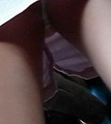 Whale tale panties