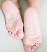 Lara duttas legs Mugen footfetish juni Footfetish vagines